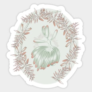 Succulent Sprite - fan aloe plicatilis Sticker